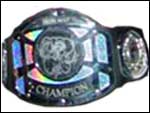 Чемпион Железного Человека CZW