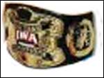 Командные Чемпионы IWA: MS