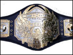 Чемпион Мира в тяжёлом весе по версии TNA