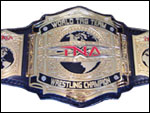 Командные Чемпионы Мира по версии TNA